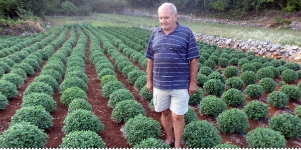 Andrija Musa: Nastojim imati vrhunski proizvod koji se može prodati u polju