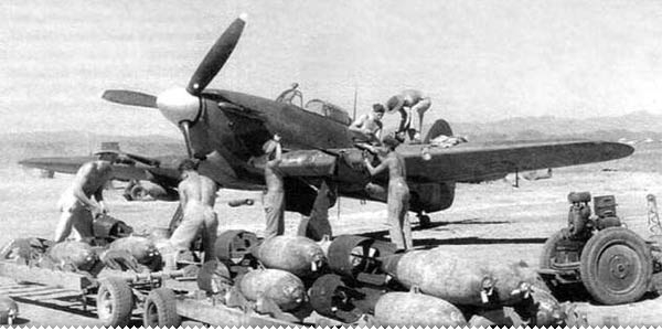 Je li Krešimir Boras, partizanski pilot, iz Senja ili Vitine? avion