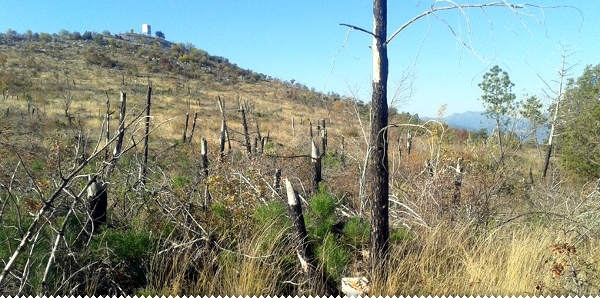 Zgarište podno Buturovice proziva savjest 