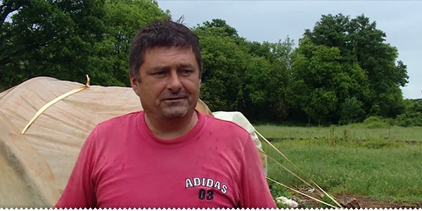 ljubuski.info