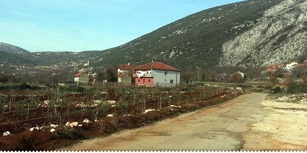 MZ Dole-Greda: Izborni okršaj lokalnog stanovništva i HDZ-ovog iseljeništva ljubuski.info