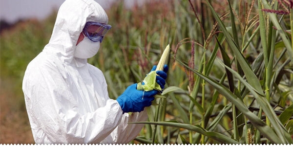 Na tržištu BiH: GMO u čokoladama, keksu, slatkišima ... ljubuski.info