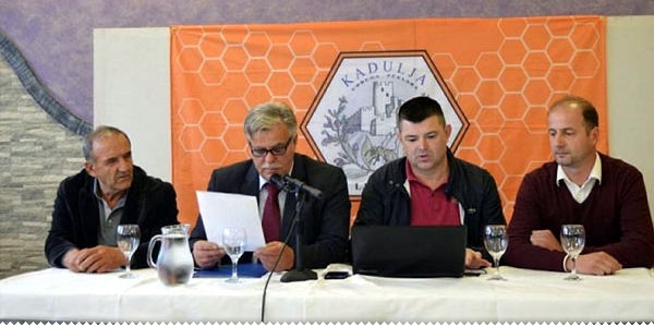 ljubuski.info