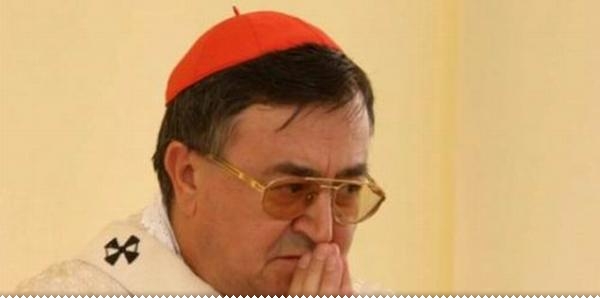 Kardinal Vinko Puljić: "Naš prijedlog su četiri regije!" ljubuski.info