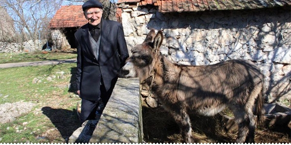 ljubuski.info