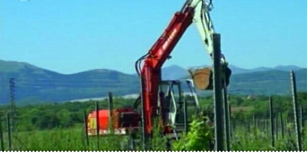 Mreža: Propast Vinarije Ljubuški ljubuski.info
