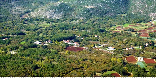 ljubuski.info