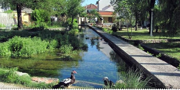 ljubuski.info