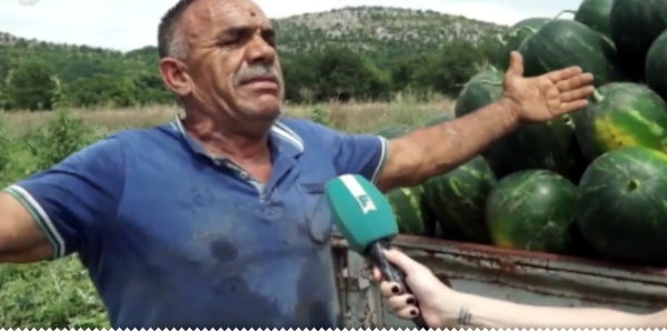Ljubuški poljoprivrednici teško do podnošljivih cijena ljubuski.info