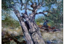 ljubuski.info galerija