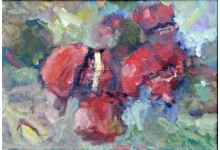 ljubuski.info galerija