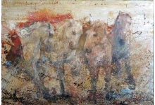 ljubuski.info galerija