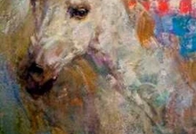 ljubuski.info galerija