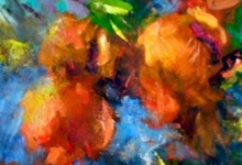 ljubuski.info galerija