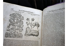 ljubuski.info galerija