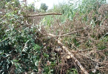 ljubuski.info galerija