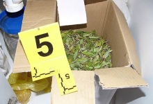 U unajmljenom stanu u Ljubuškom pronađeno 3 kg marihuane Zapljena