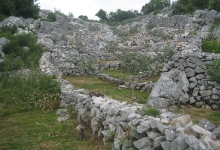 ljubuski.info galerija