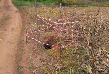 ljubuski.info galerija