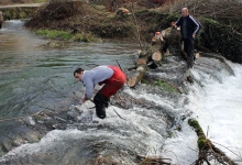 ljubuski.info galerija