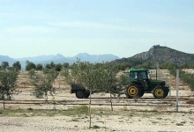 ljubuski.info galerija