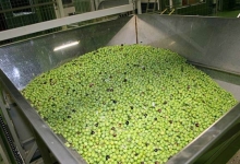 ljubuski.info galerija