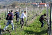 ljubuski.info galerija