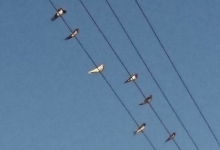 ljubuski.info galerija