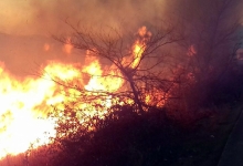 ljubuski.info galerija