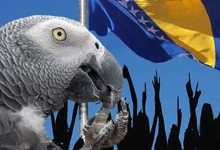 Političke papige ljubuski.info