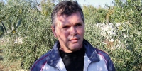 ljubuski.info