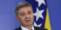 ljubuski.info