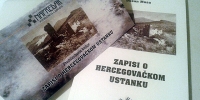 ljubuski.info