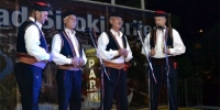 ljubuski.info
