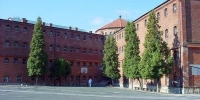 ljubuski.info