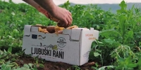 ljubuski.info