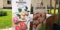 ljubuski.info