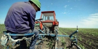 traktor