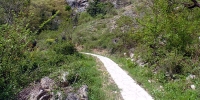 puteljak