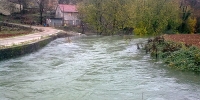 ljubuski.info