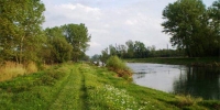 bajer