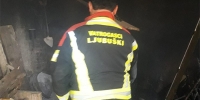 ljubuski.info