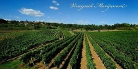vinograd